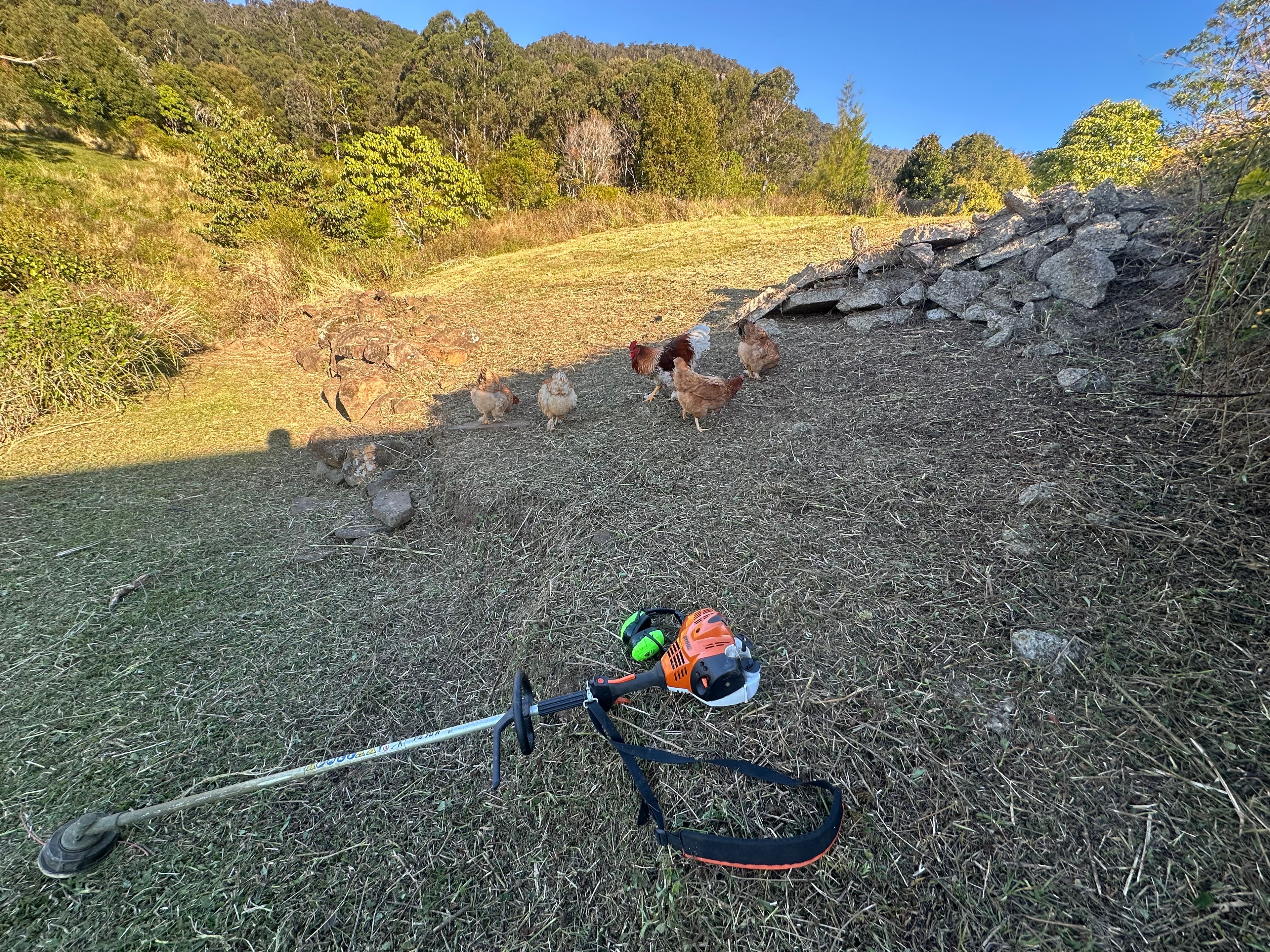 Brush cutting on a rural property