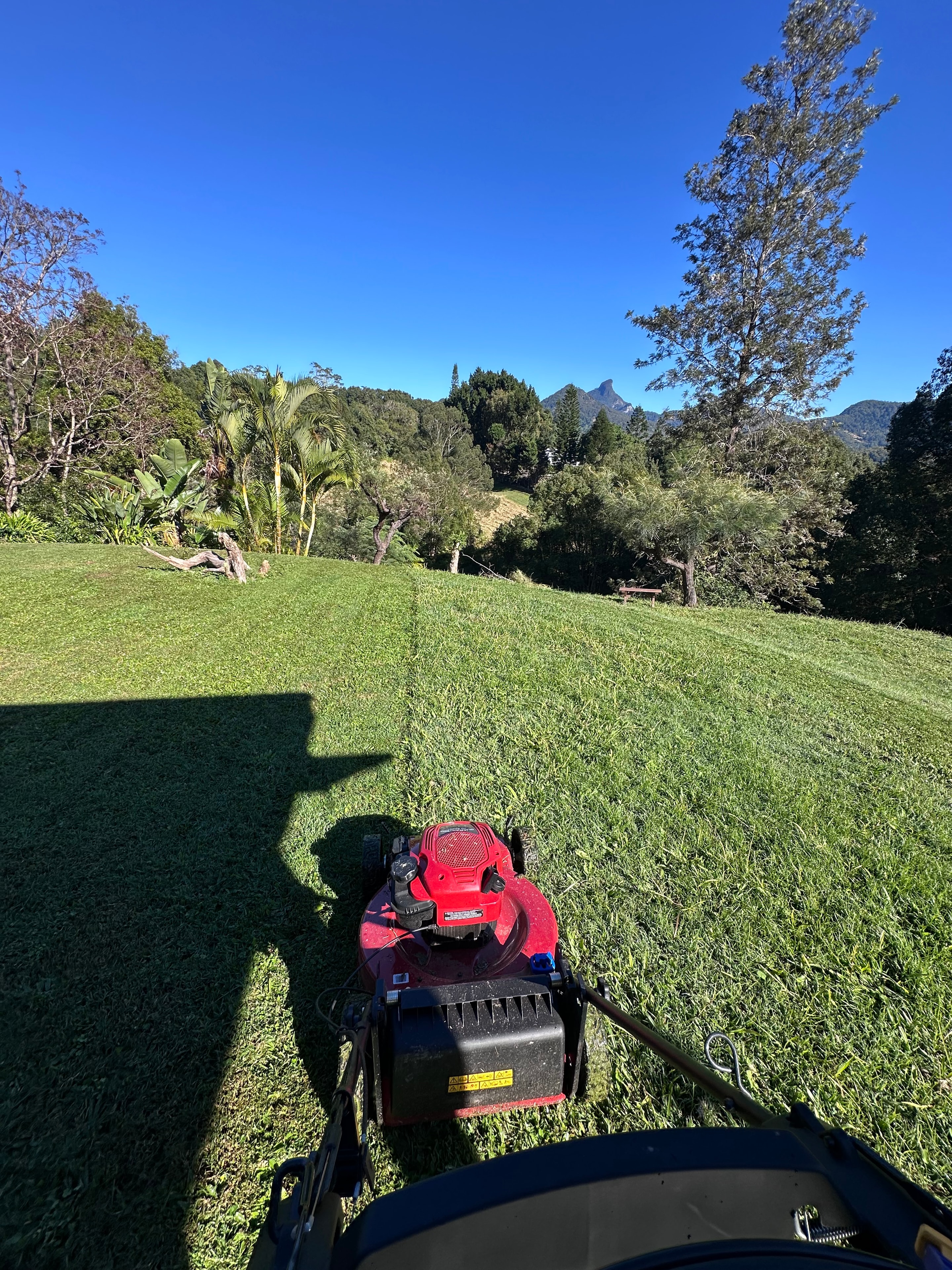 Lawn mowing: Mountain Views