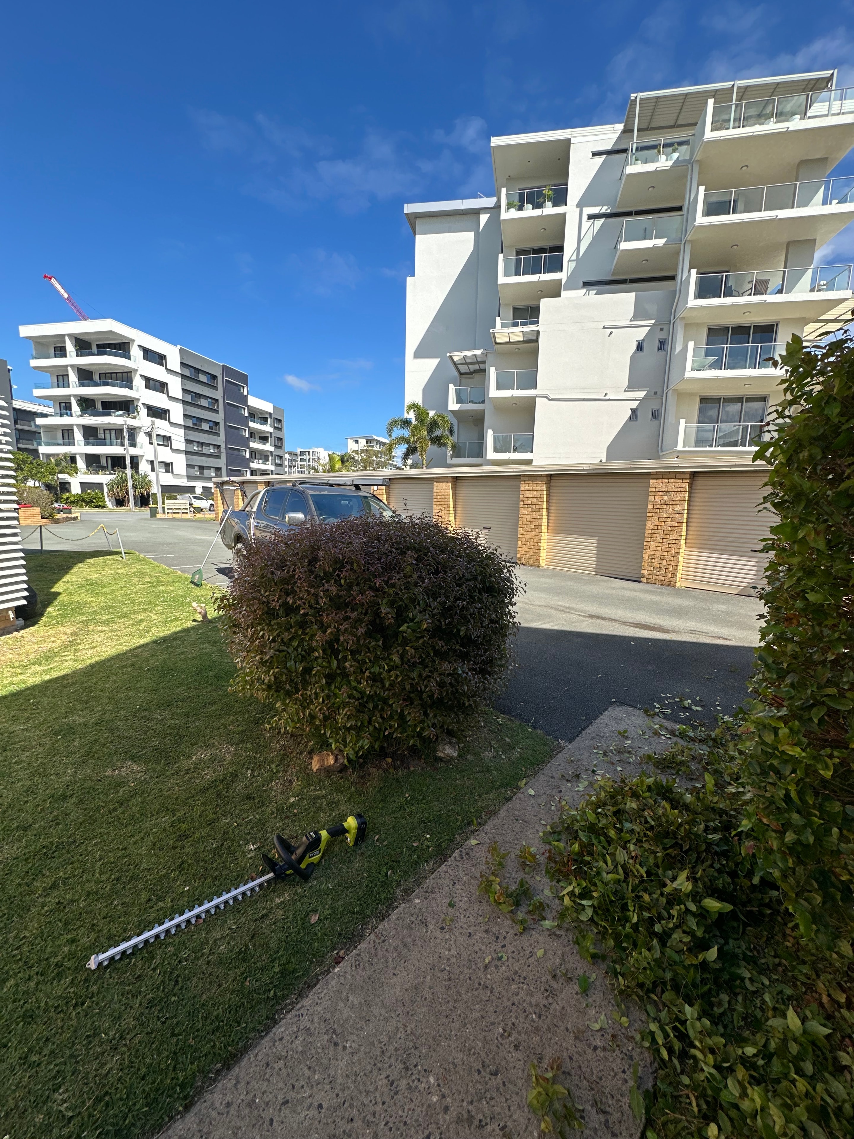 Strata hedge trimming